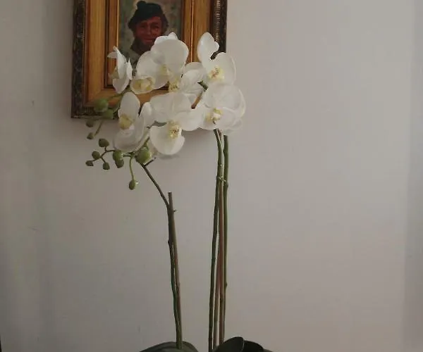 Casa Clo Cattedrale *