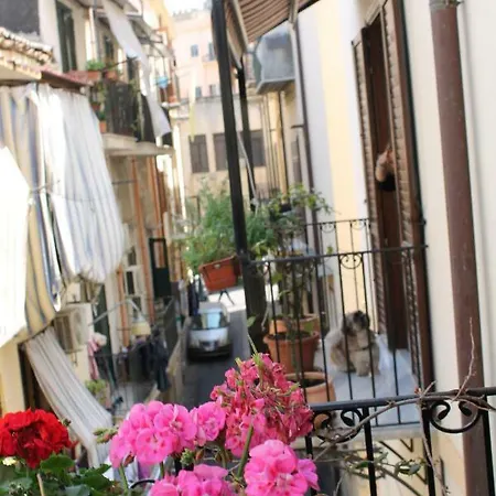 Casa Clo Cattedrale * 팔레르모