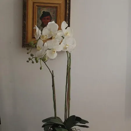 Casa Clo Cattedrale *